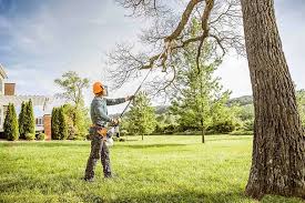 Best Tree Preservation Services  in Marlinton, WV